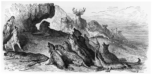 Das Begräbnis der Löwin, Illustration aus 